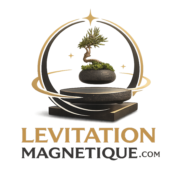 Logo de Levitation Magnetique