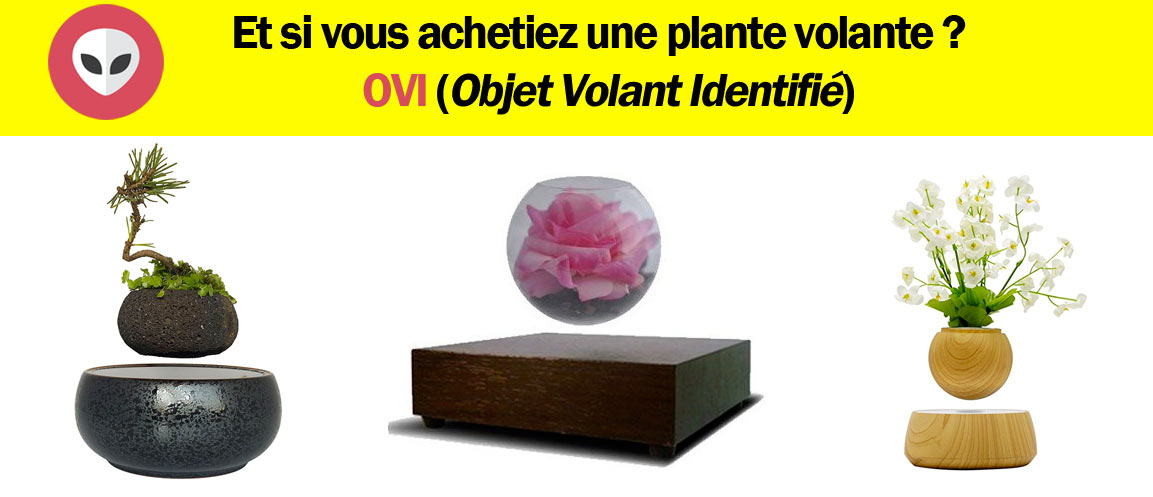 jardin en lévitation