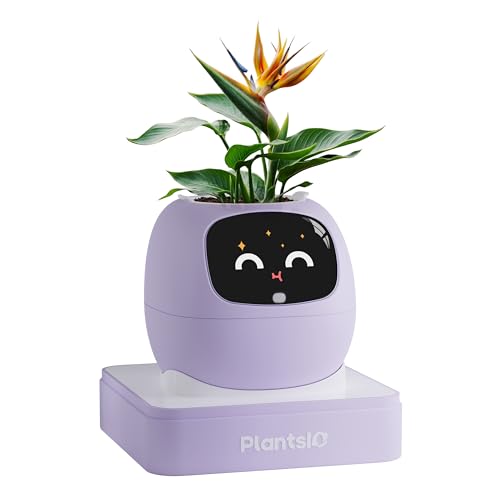 PLANTSIO Ivy Pot de fleurs intelligent pour la décoration de