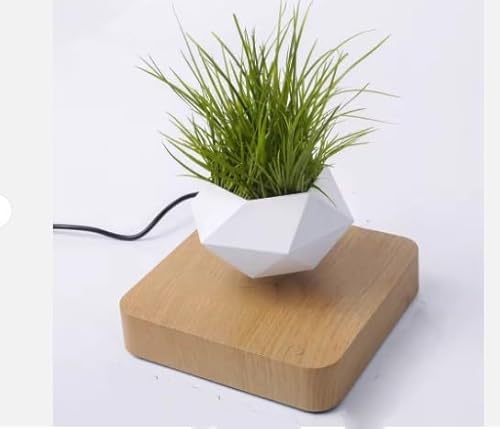 Pot flottant magnétique avec base en bois - Pot lévitant ave