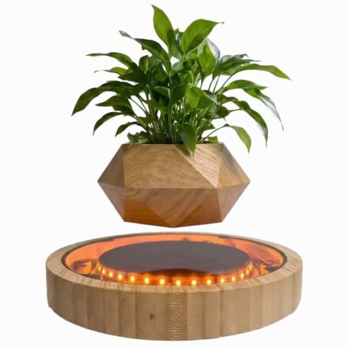 Kiko-ershaa Pot de Plante lévitant avec Base Lumineuse LED P
