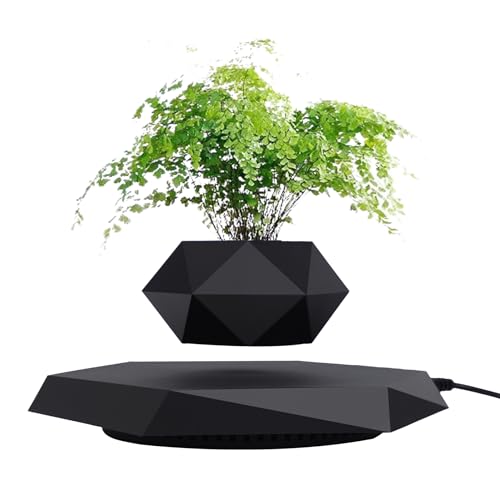 Pot de Fleur en lévitation