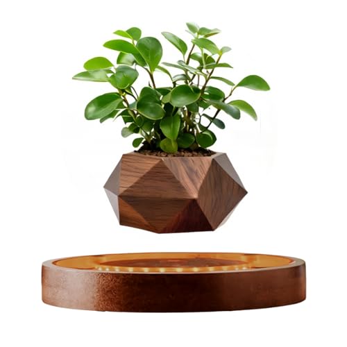 MOOCCI Pot de fleurs en lévitation avec lumière - Pot de fle