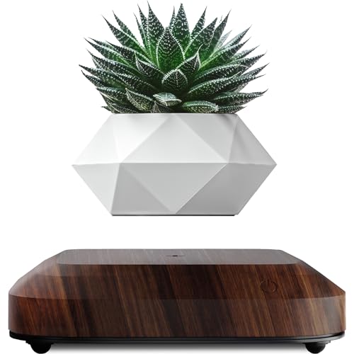 LEVINA Authentique Pot de Plantes Flottant en Lévitation pou