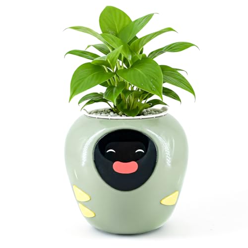 Plantbot Grand pot de fleurs intelligent amélioré pour anima