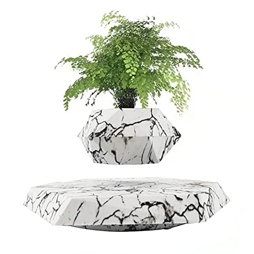 Pot de Fleur en lévitation