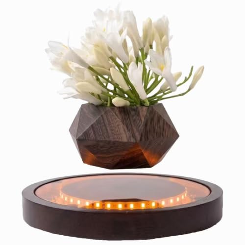 Kiko-ershaa Pot de Plante lévitant avec Base Lumineuse LED P
