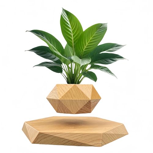 Pot Bonsaï Lévitation Jaune Design