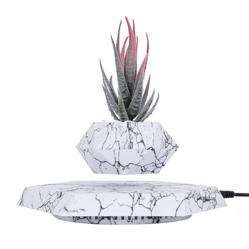 Pot de Fleur en lévitation