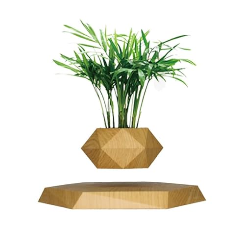 ETRAVEL Pot de fleurs en lévitation en bois pour plantes gra